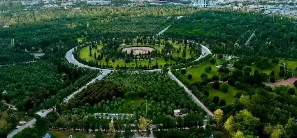 جهود حكومية مكثفة لتعزيز النقل المستدام وإدخال الحافلات الكهربائية