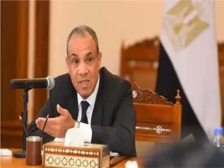 وزير الخارجية: مصر لن تقف مكتوفة الأيدي لو تعرض السودان أو مؤسساته لخطر الانهيار