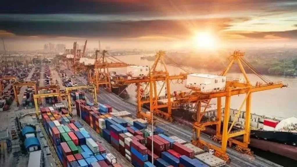 مصلحة الجمارك: نظام ACI حقق طفرة في تسريع الإفراج الجمركي وتبسيط الإجراءات