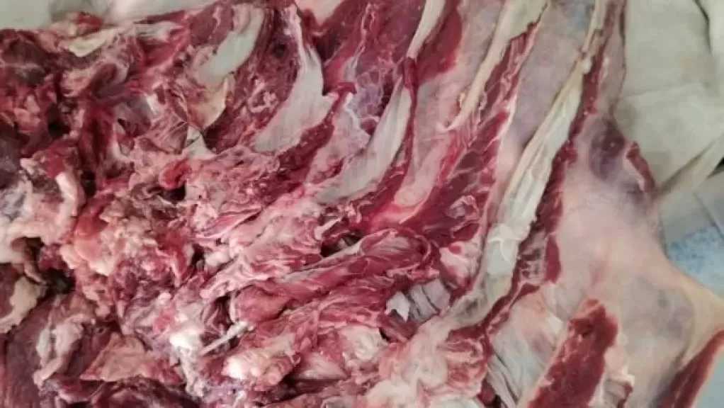 محافظ أسيوط: حملات تموينية تضبط لحومًا وسلعًا غذائية غير صالحة