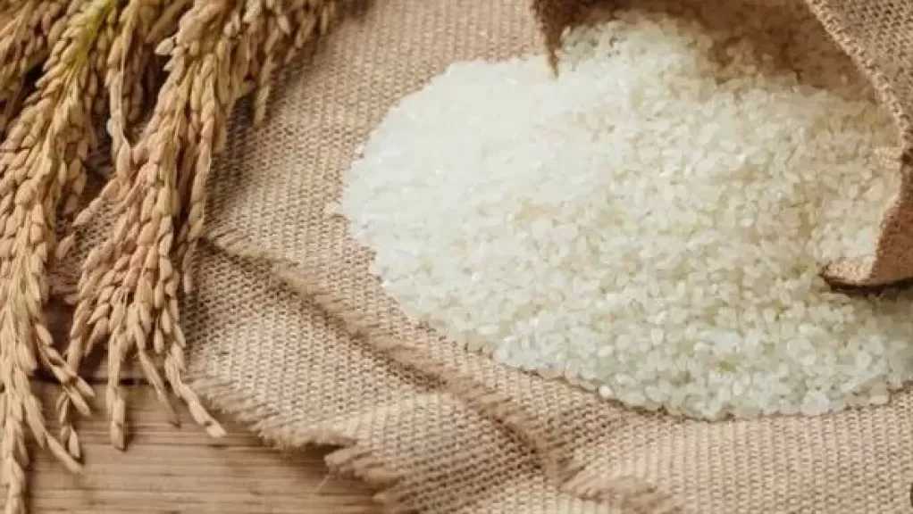 شعبة الأرز: أغلى سعر للكيلو المعبأ 30 ونشهد انخفاضات كبيرة