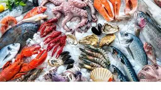 تراجع جماعي في أسعار الأسماك والجمبري بالأسواق.. البلطي يسجل 68 جنيهًا اليوم السبت 17 يناير