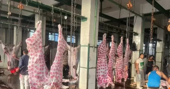 الزراعة: المجازر استقبلت 705 ألف رأس ماشية خلال النصف الثاني من 2025