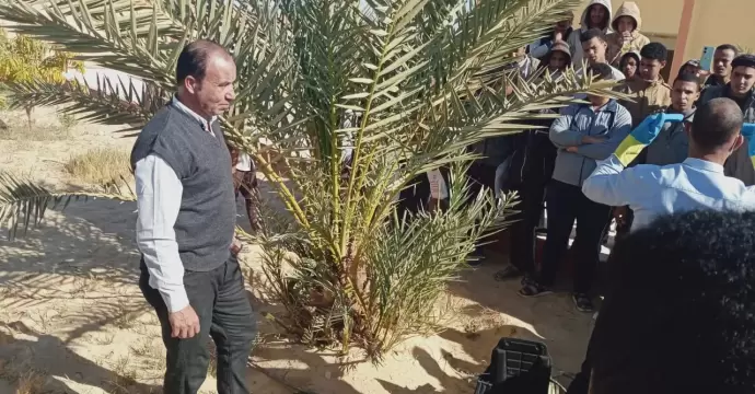 وزارة الزراعة: جهود مكثفة لمكافحة سوسة النخيل الحمراء وحماية أكثر من 22 مليون نخلة