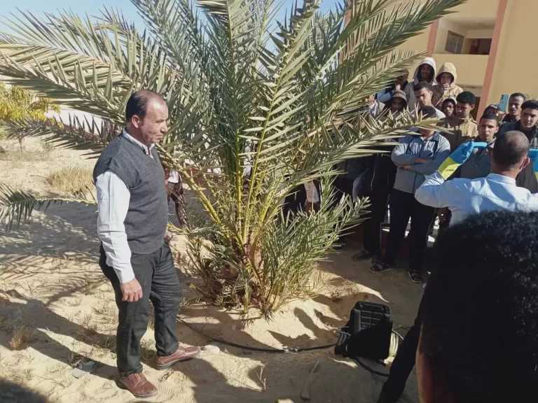 وزارة الزراعة: جهود مكثفة لمكافحة سوسة النخيل الحمراء وحماية أكثر من 22 مليون نخلة