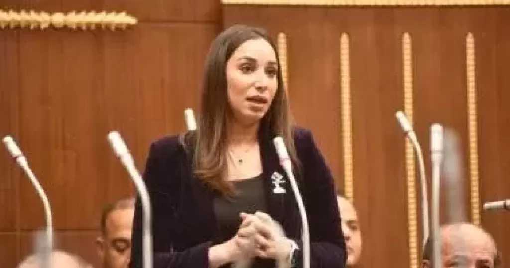 النائبة حنان وجدى: تغير المناخ من أخطر القضايا المؤثرة على الاقتصاد القومى