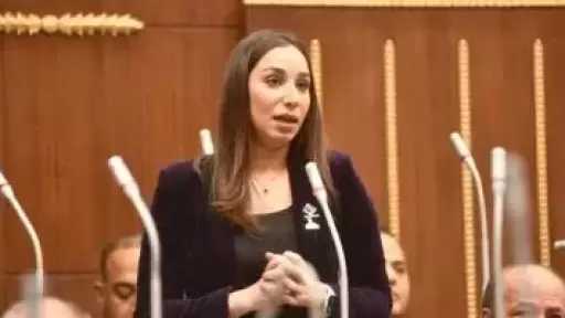 النائبة حنان وجدى: تغير المناخ من أخطر القضايا المؤثرة على الاقتصاد القومى