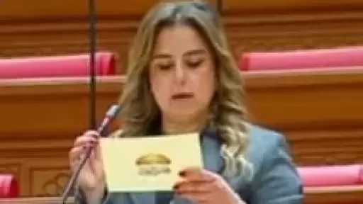 ساندي قسطور: توجيهات الرئيس السيسي لتطوير قناة السويس تعكس رؤية استراتيجية لتعزيز مكانة مصر البحرية عالمياً