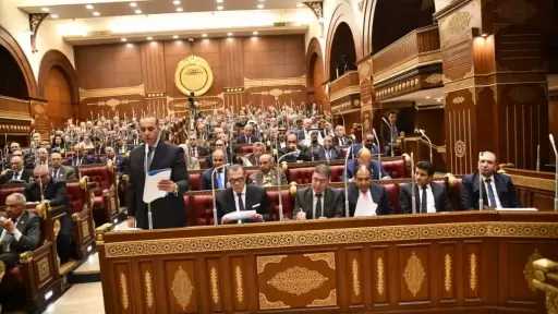 مجلس الشيوخ يرفض تعديلات ناجي الشهابي على الضريبة العقارية.. ومحمود فوزي: مقترحات شيقة