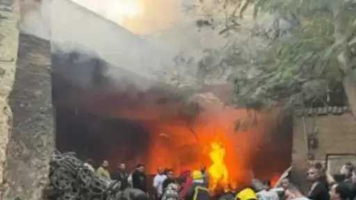 التحقيق في حريق نخيل بكلية الزراعة جامعة القاهرة