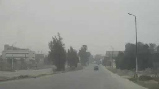 طقس الإسكندرية: شديد البرودة ليلاً ودافئ نهارًا بأغلب أنحاء المحافظة