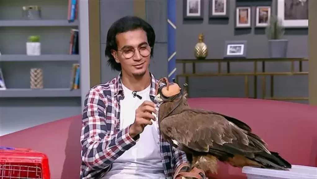 الكوبرا والذئاب والصقور.. تجربة خطيرة لشاب مصري داخل استوديو واحد من الناس