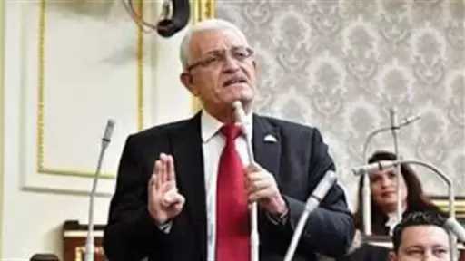 برلماني: قانون الكهرباء بحاجة إلى شفافية وناقشنا المواد الأولية فقط