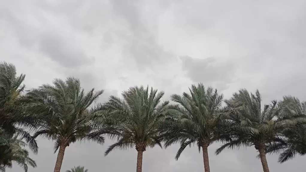 الأرصاد تحذر: رياح مثيرة للرمال والأتربة تضرب شمال البلاد والقاهرة الكبرى اليوم
