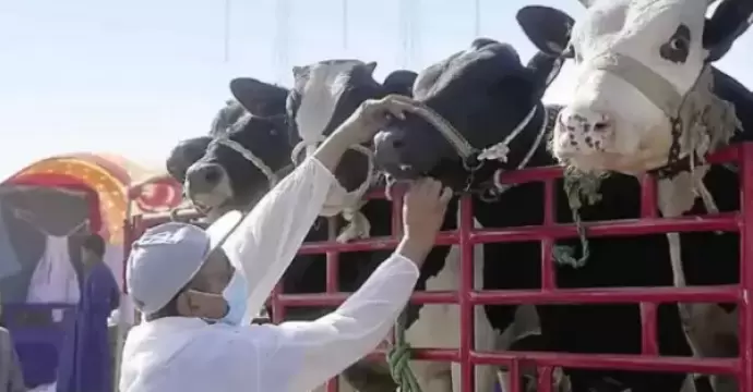 ”الزراعة” تنفذ 83 ألف ندوة إرشادية بيطرية لحماية الثروة الحيوانية خلال 2025