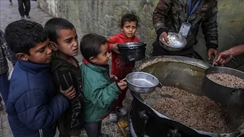 طبيبة فلسطينية: التجويع بغزة يترك ندوبًا نفسية قد تمتد لأربعة أجيال