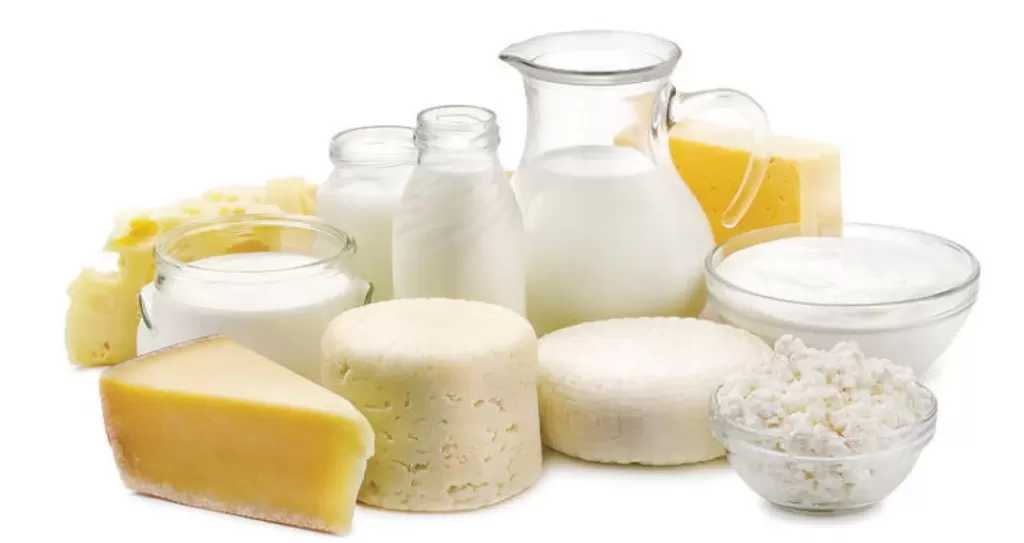 أسعار البيض والألبان بالأسواق اليوم السبت 31 يناير