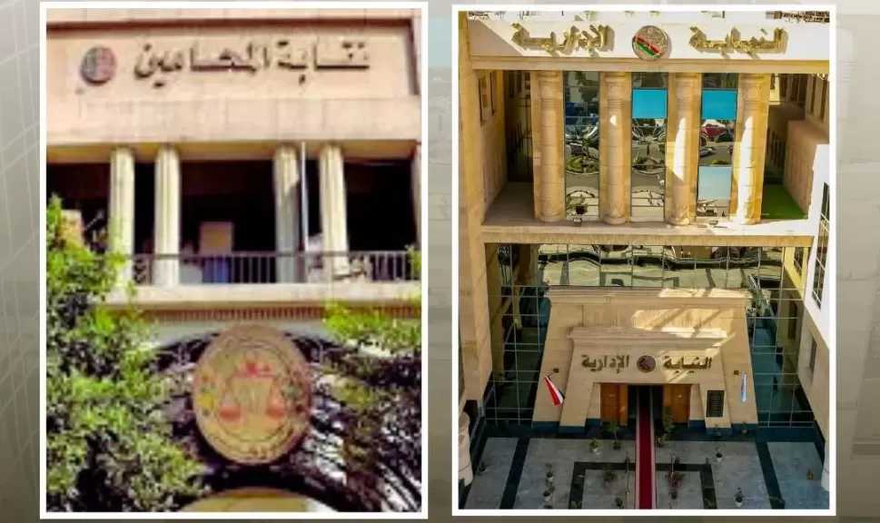 النيابة الإدارية تباشر الإشراف القضائي على المرحلة الثانية من انتخابات «المحامين» الفرعية على مستوى الجمهورية