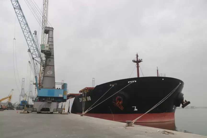 ميناء دمياط يحقق معدل تفريغ قياسي لحمولة السلاج بسفينة ZHI DA 88| صور