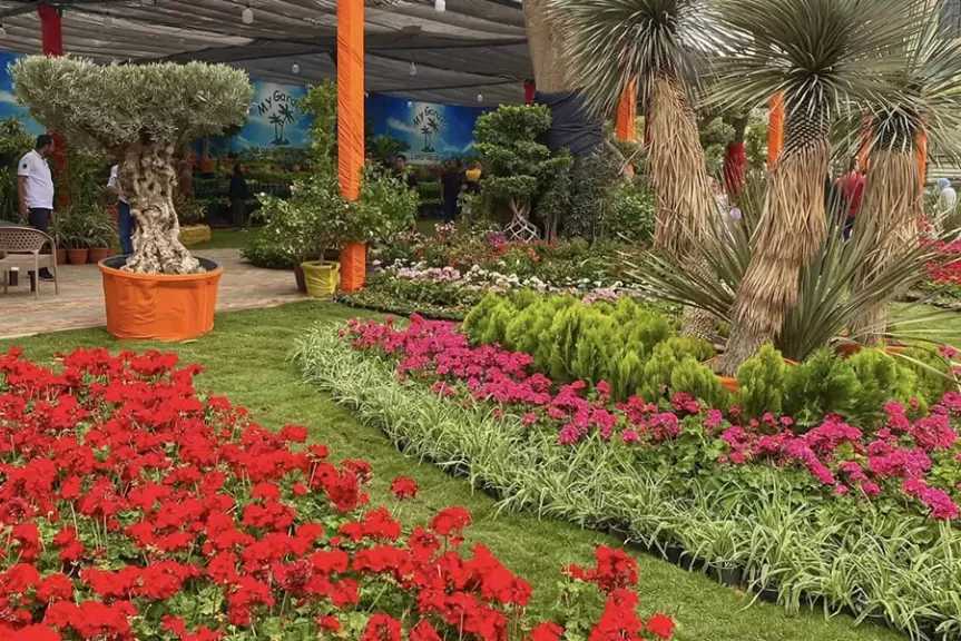 ”الزراعة” تعلن فتح باب الحجز للمشاركة بمعرض زهور الربيع 2026