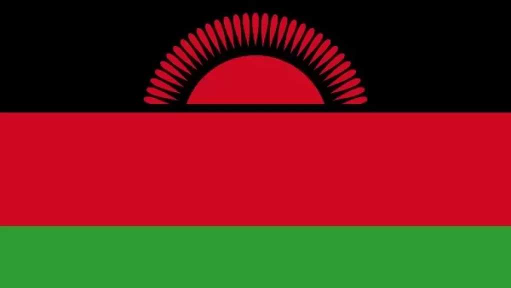 سلطات ملاوي تعلن تفشي فيروس شلل الأطفال من النوع الثاني