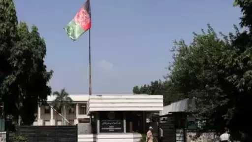 الداخلية الأفغانية: انخفاض زراعة القنب في البلاد إلى الصفر