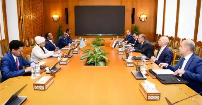مشاورات مصرية صومالية لدعم الشراكة الاستراتجية بين البلدين