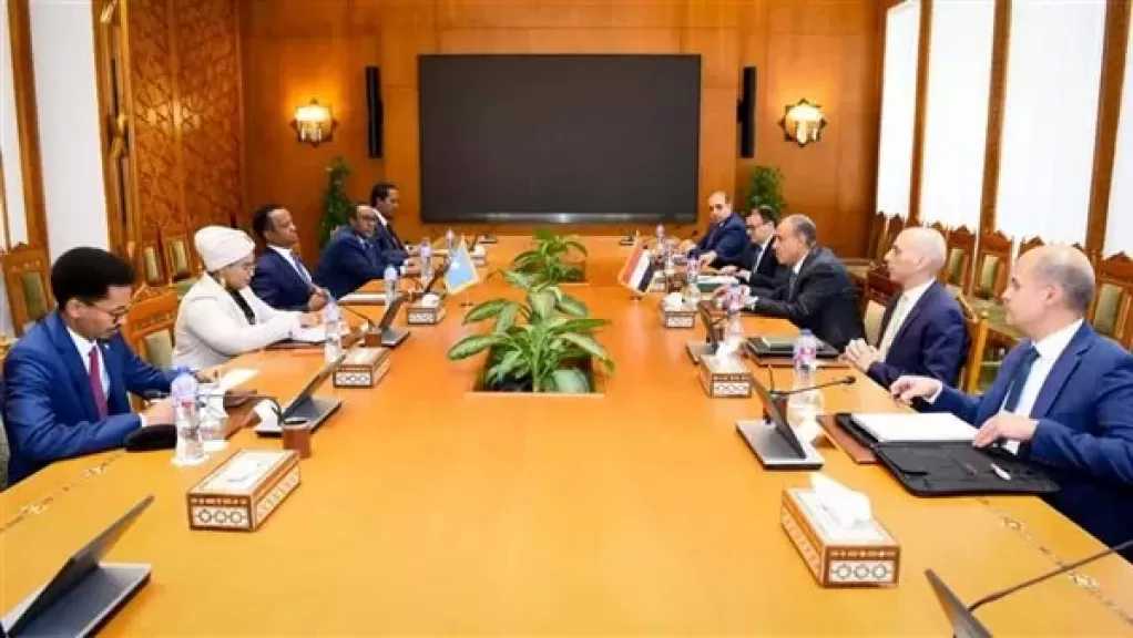 مشاورات مصرية صومالية لدعم الشراكة الاستراتجية بين البلدين