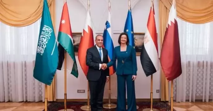 وزير الخارجية يشارك في اجتماع اللجنة الوزارية العربية الإسلامية بشأن غزة