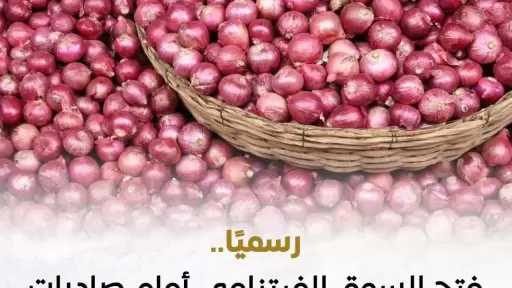 فتح السوق الفيتنامي لزيادة صادرات مصر من الثوم والبصل