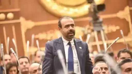 النائب نور الدين مصطفى: الجهود المصرية ركيزة أساسية لتحقيق الاستقرار الإقليمي