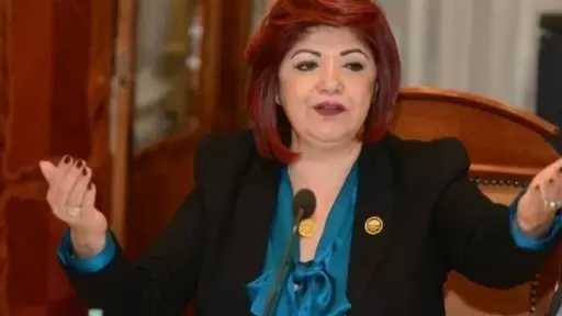 برلمانية تطالب بتحديث الأسطول الجوي لاستيعاب الزيادة فى السياحة