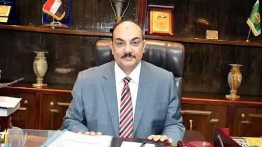 رضا فرحات: القمة المصرية الصومالية عكست رؤية إستراتيجية شاملة لحماية الدولة الوطنية