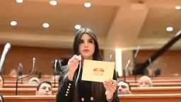 ريهام أبو الحسن: إطلاق شبكة السكتة الدماغية إنجاز وطني يعزز إنقاذ المرضى