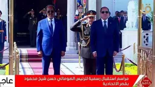أستاذ علاقات دولية: العلاقات المصرية الصومالية ”تاريخية”.. تقارب أمني وسياسي وعسكري