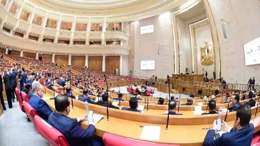 برلمانية المصري الديمقراطي: كنا نتمنى تغييرا شاملا في الحكومة