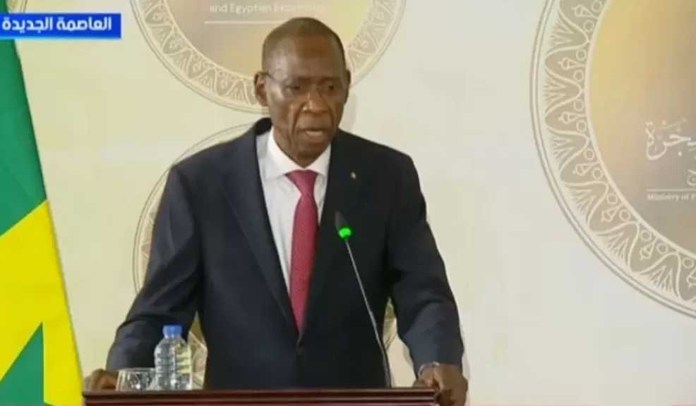 وزير خارجية السنغال: مستوى التعاون الاقتصادي مع مصر يعكس العلاقات المتميزة بين البلدين