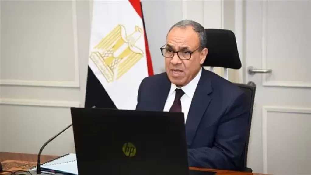 المصريون بالخارج يرحبون بتجديد الثقة في وزير الخارجية والهجرة