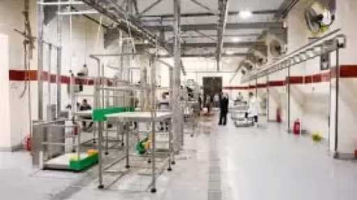 مجزر كفر شكر النصف آلي يقدم لحوم صحية ويحول المخلفات لسماد وغاز بمواصفات عالمية