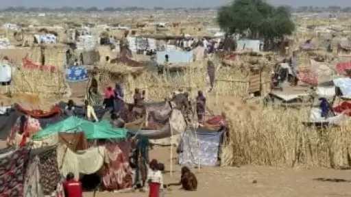 وزير ثقافة دارفور: الوضع فى الفاشر كارثى والمواطنون رهائن بيد الميليشيا