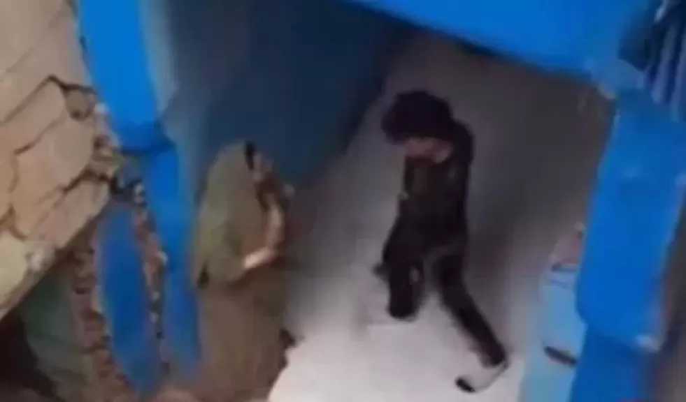 كواليس فيديو الرعب في واقعة تعدي شاب على والدته بسلاح أبيض بالقليوبية