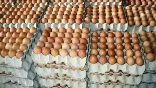 تخفيض سعر البيض بالمنافذ التموينية لـ85 جنيها للطبق