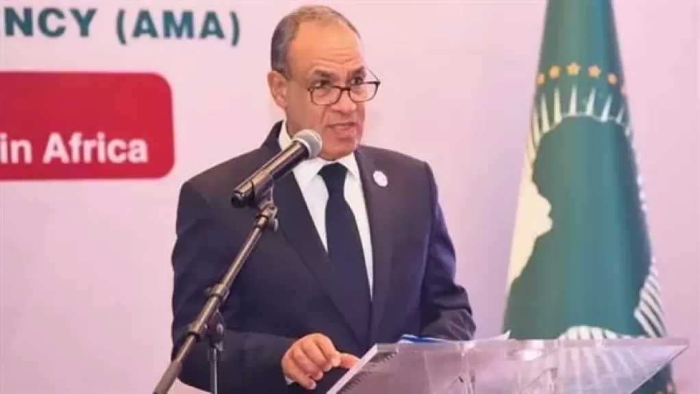 وزير الخارجية يطرح رؤية مصر الشاملة لتعزيز التصنيع الدوائي والأمن الصحي في أفريقيا