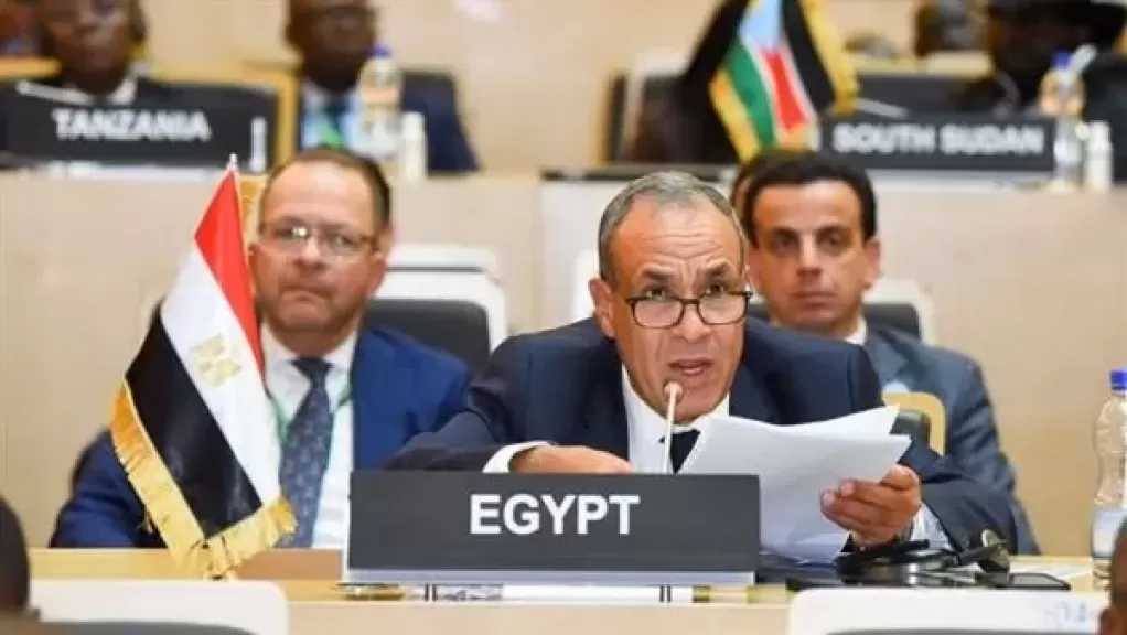 وزير الخارجية يستعرض التقرير السنوي لمجلس السلم والأمن أمام قمة الاتحاد الإفريقي