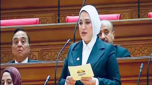 برلمانية: توجيهات الرئيس السيسي بإعلان حزمة حماية اجتماعية تجسد نهج الدولة في توفير حياة كريمة للمصريين