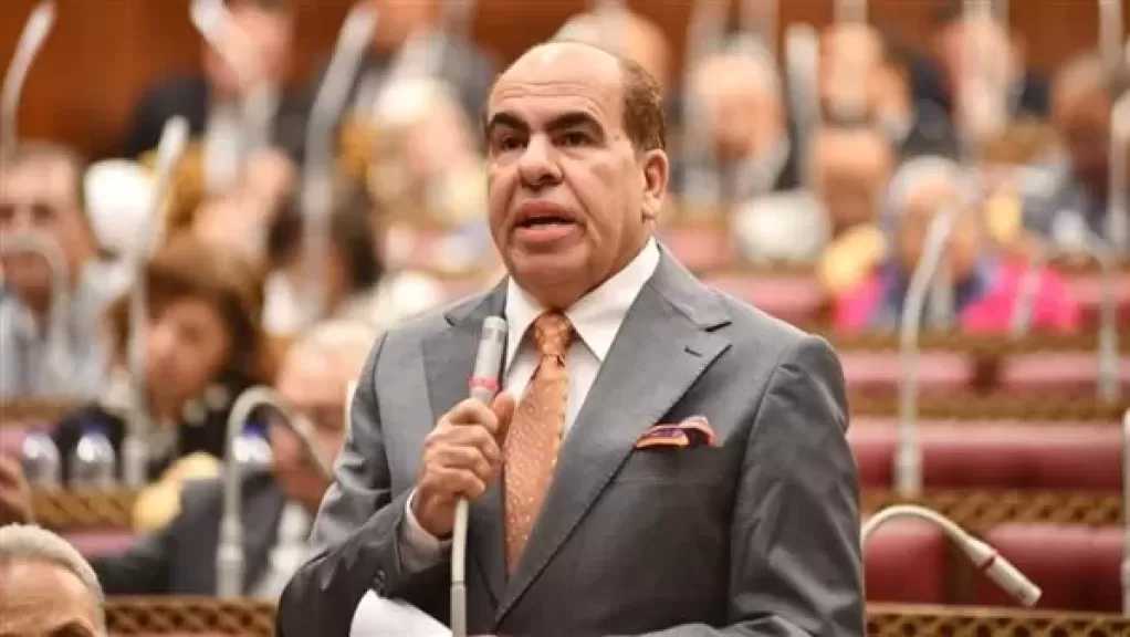 الهضيبي: توجيهات السيسي بحزمة حماية اجتماعية قبل رمضان تعكس حرص الرئيس على دعم الفئات الأولى بالرعاية