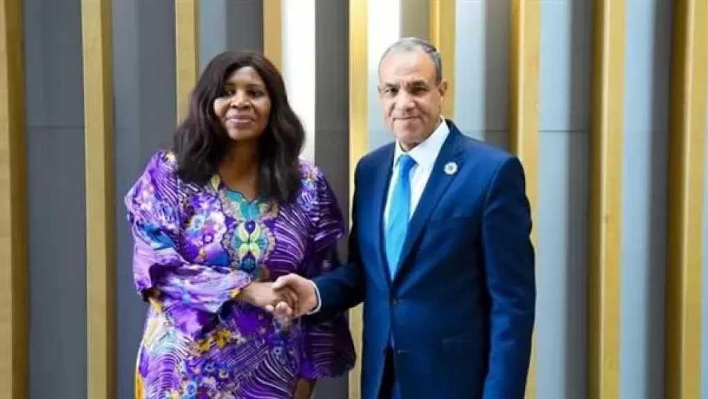 وزير الخارجية: مصر تدعم مشاركة الاتحاد الأفريقي في عضوية مجموعة العشرين