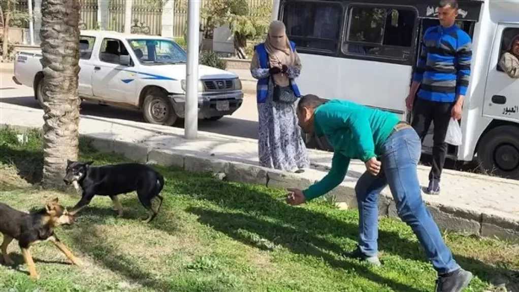 الزراعة تعلن تحصين وتعقيم أكثر من 11 ألف كلب حر منذ يناير