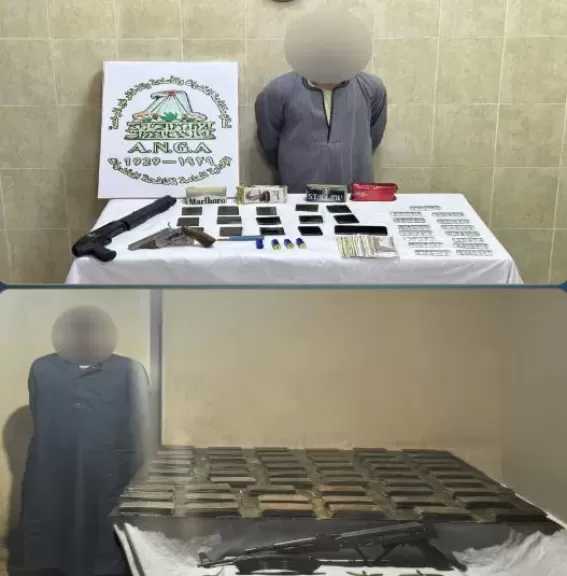 خلال 24 ساعة.. ضبط 440 كيلو مخدرات و82 سلاحا ناريا خلال حملات أمنية على مستوى الجمهورية