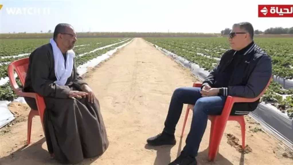 ”سلفة” كونت إمبراطورية فراولة.. مزارع يروي لعمرو الليثي رحلة الكفاح من الصفر إلى 20 فدان
